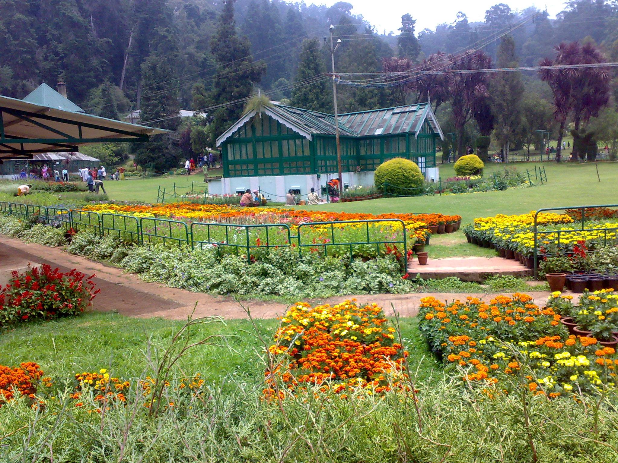 Botanical Garden Ooty Images Garden Ftempo