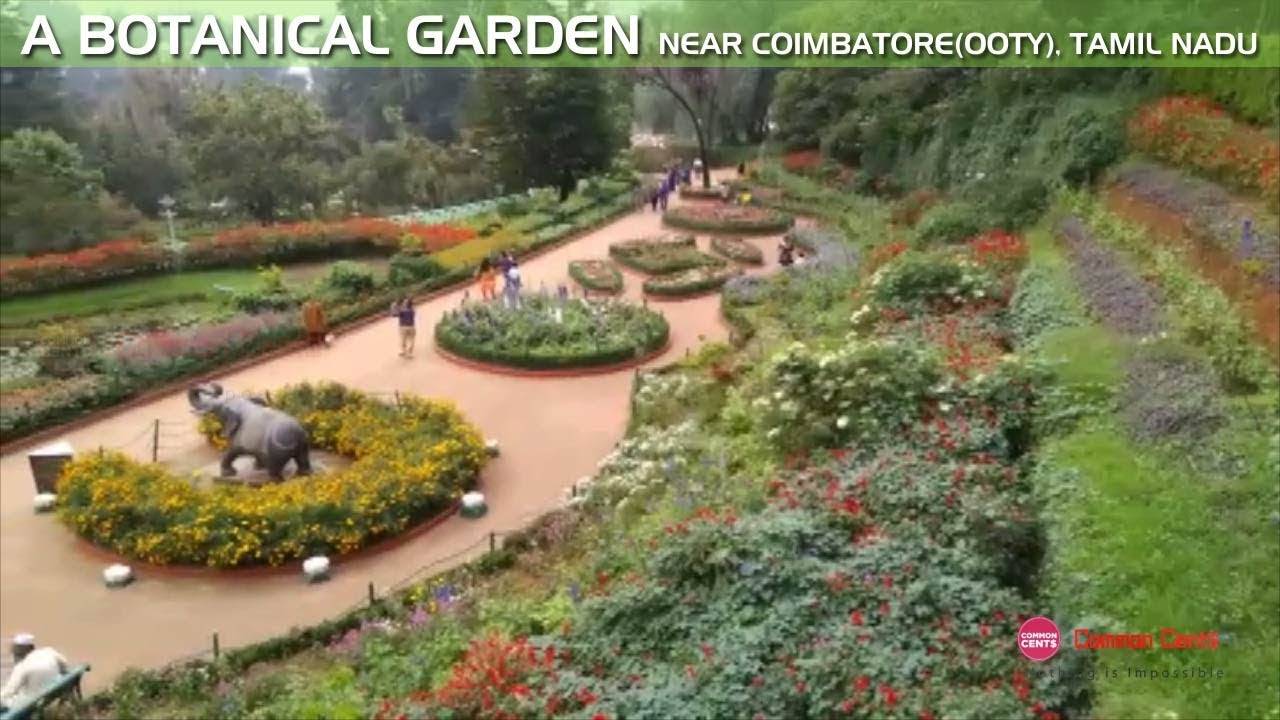Botanical Garden Ooty Youtube