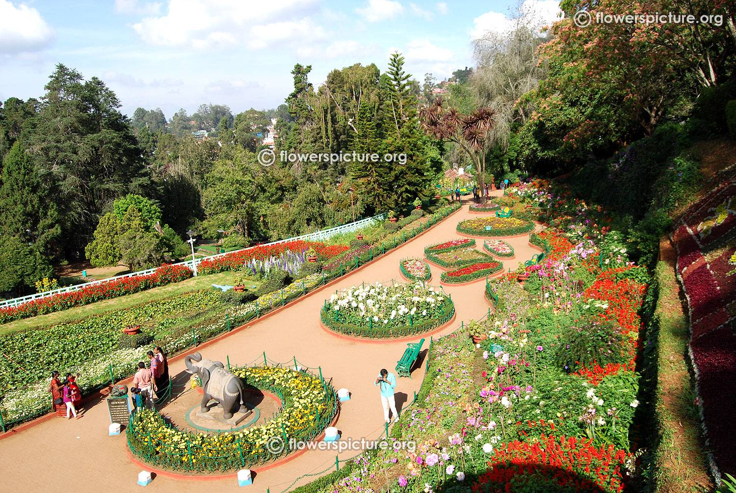 Ooty Flower Show