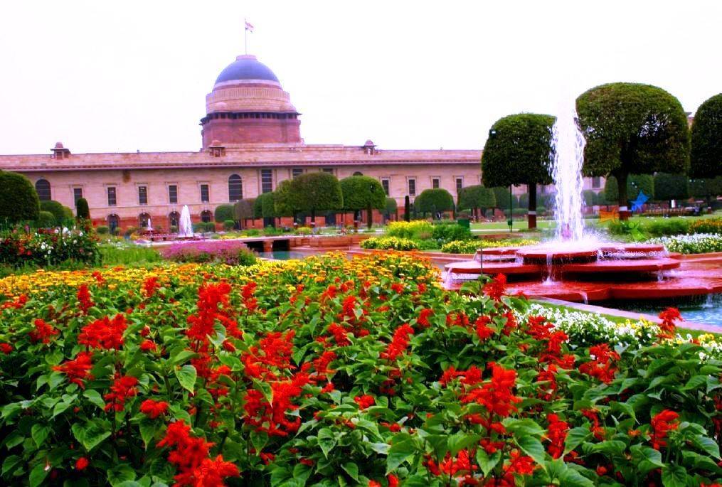 Mughal Garden New Delhi