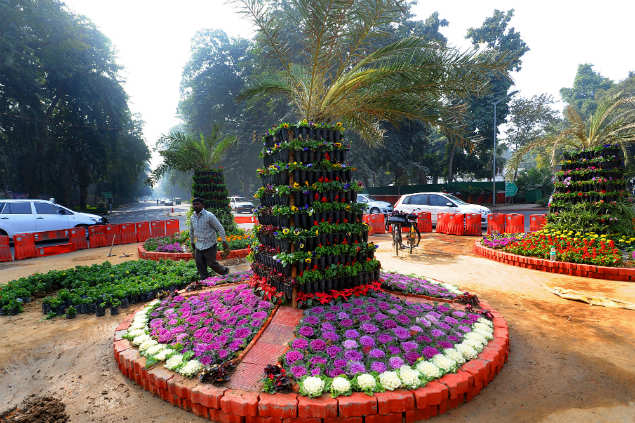 Terrace Garden Decorator Pitampura North Delhi Ideas Coriver Homes