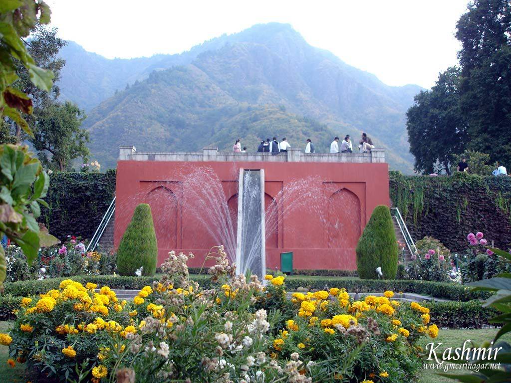Google Search Botanic Garden