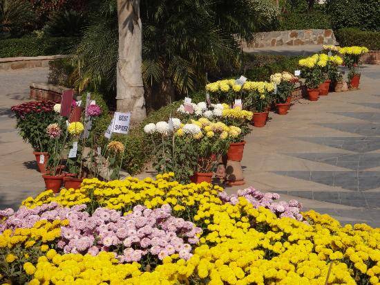 Five Senses Garden