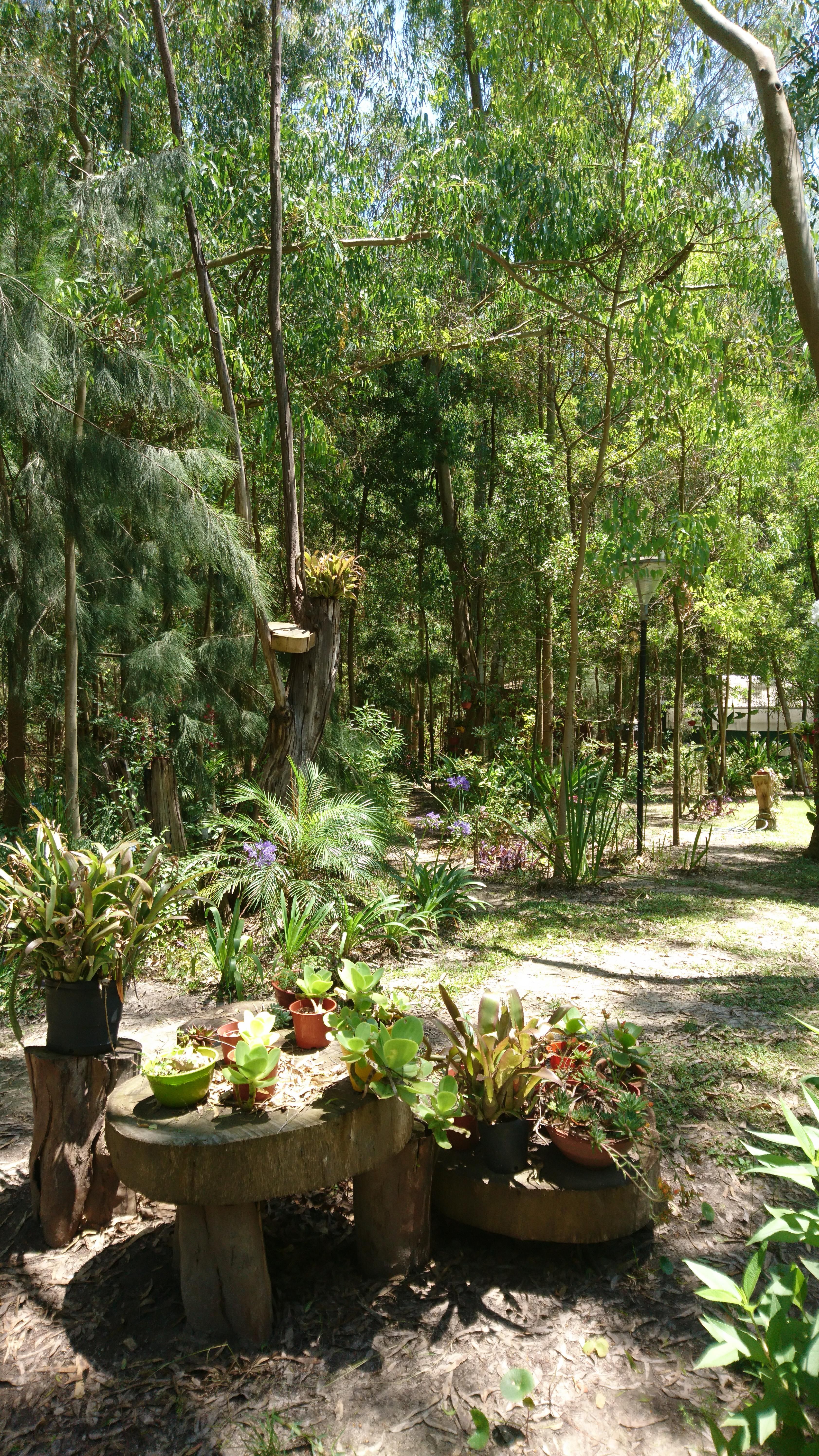 Modern Backyard Garden Ideas