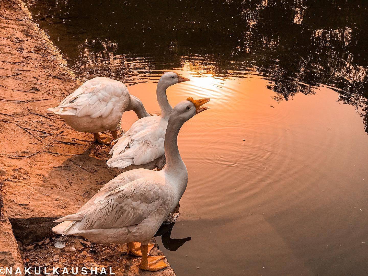 Best Winter Date Ideas