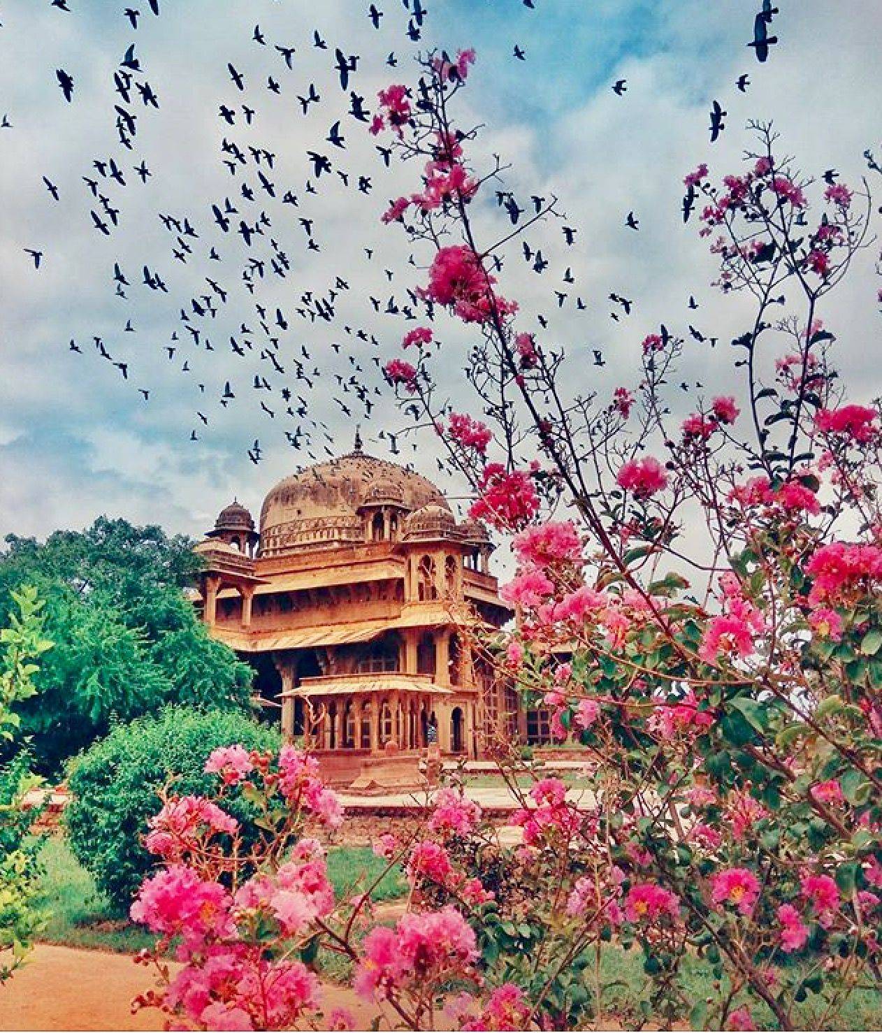 Lodhi Garden New Delhi Heritage