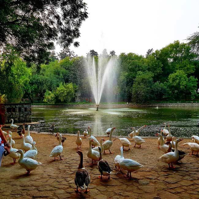 Pin De Lakshita Narang