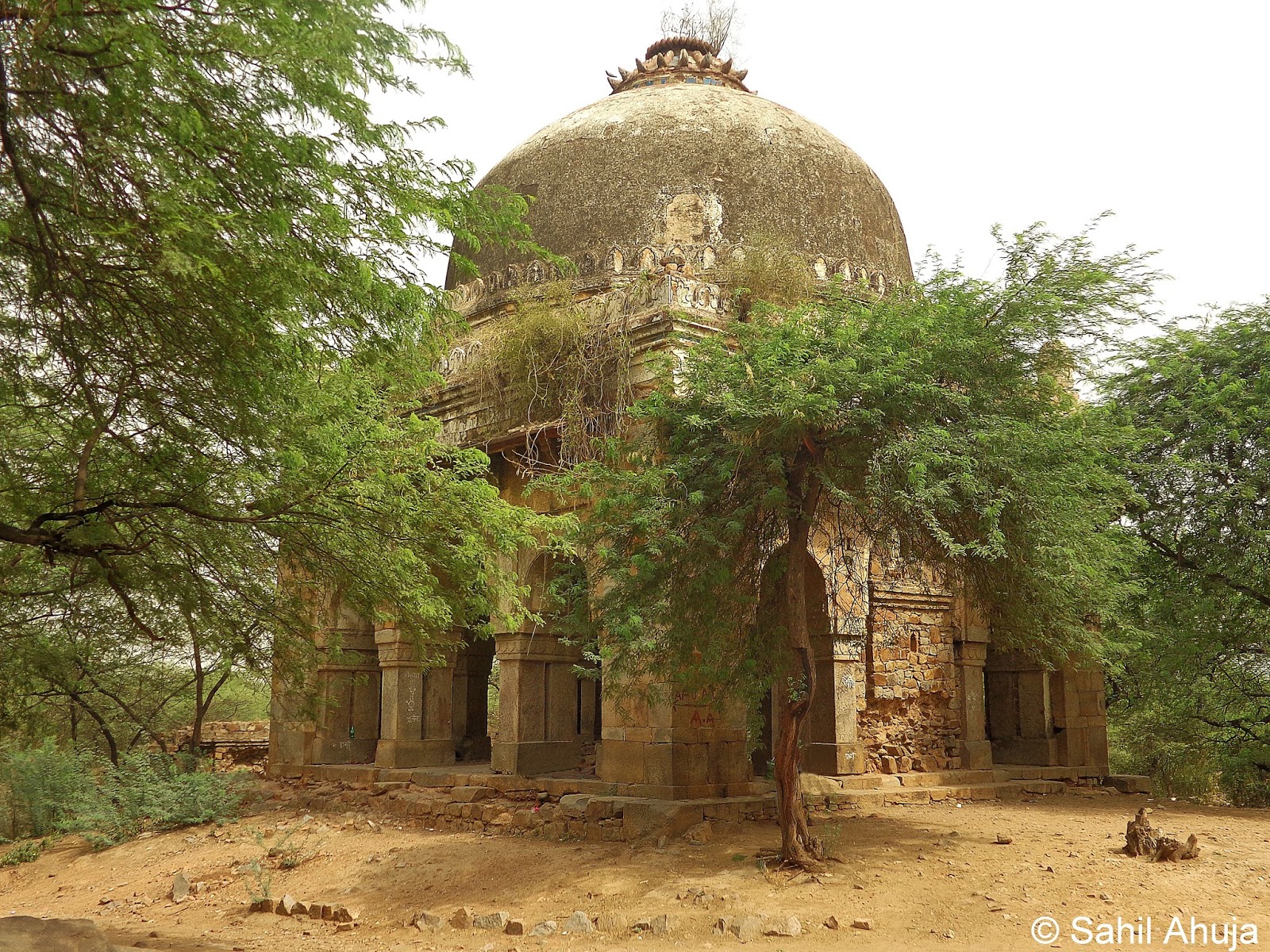 The Intercontinental Gardener