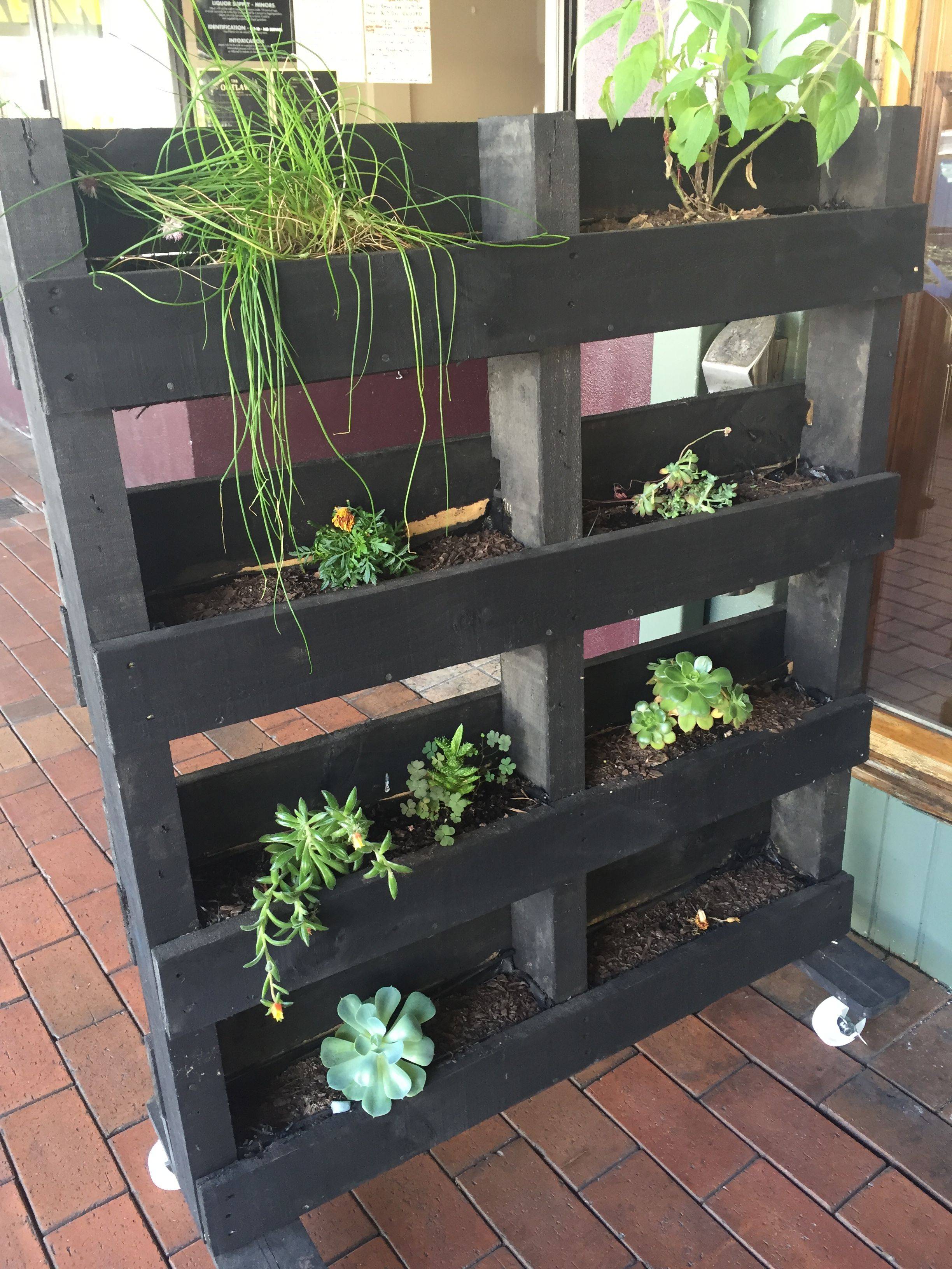 20 Rotorua Garden Ideas To Try This Year SharonSable