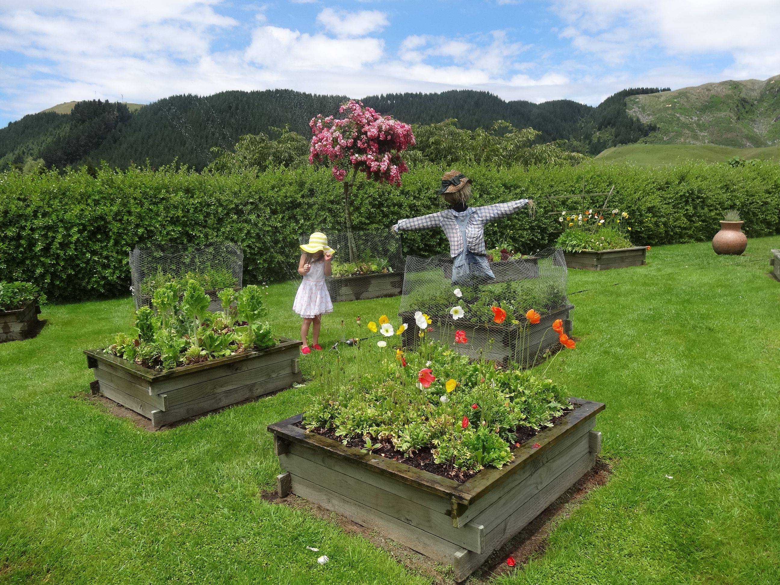 Palmers Rotorua Rotorua Gardeners