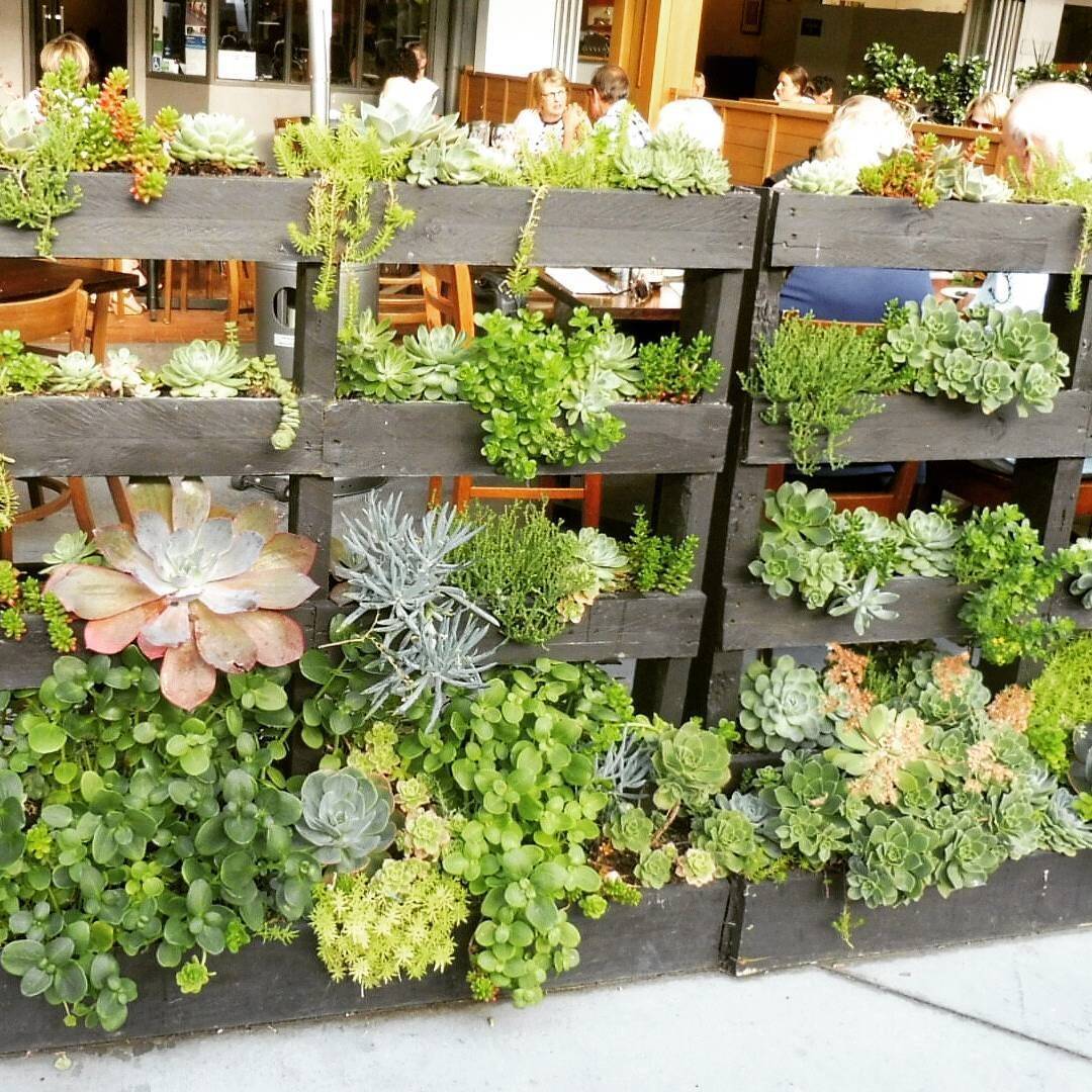 20 Rotorua Garden Ideas To Try This Year SharonSable