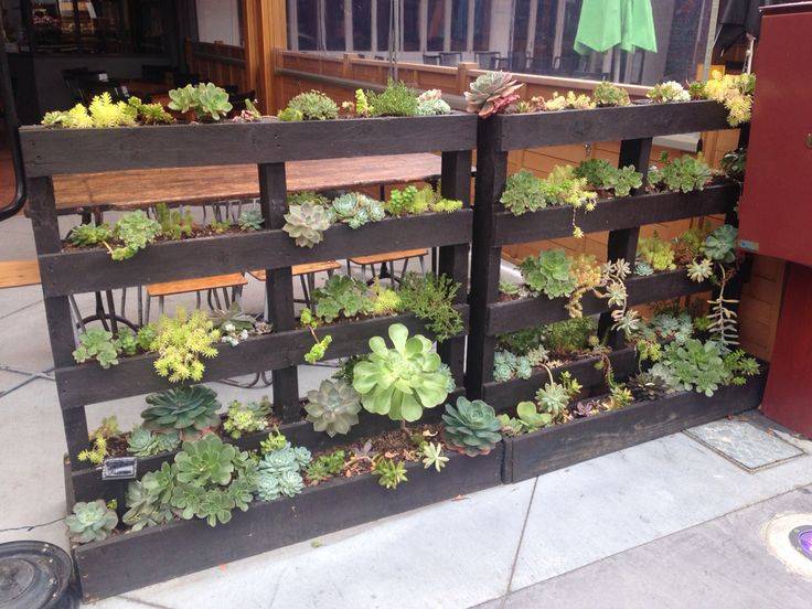 Chelsea Raised Garden Kit