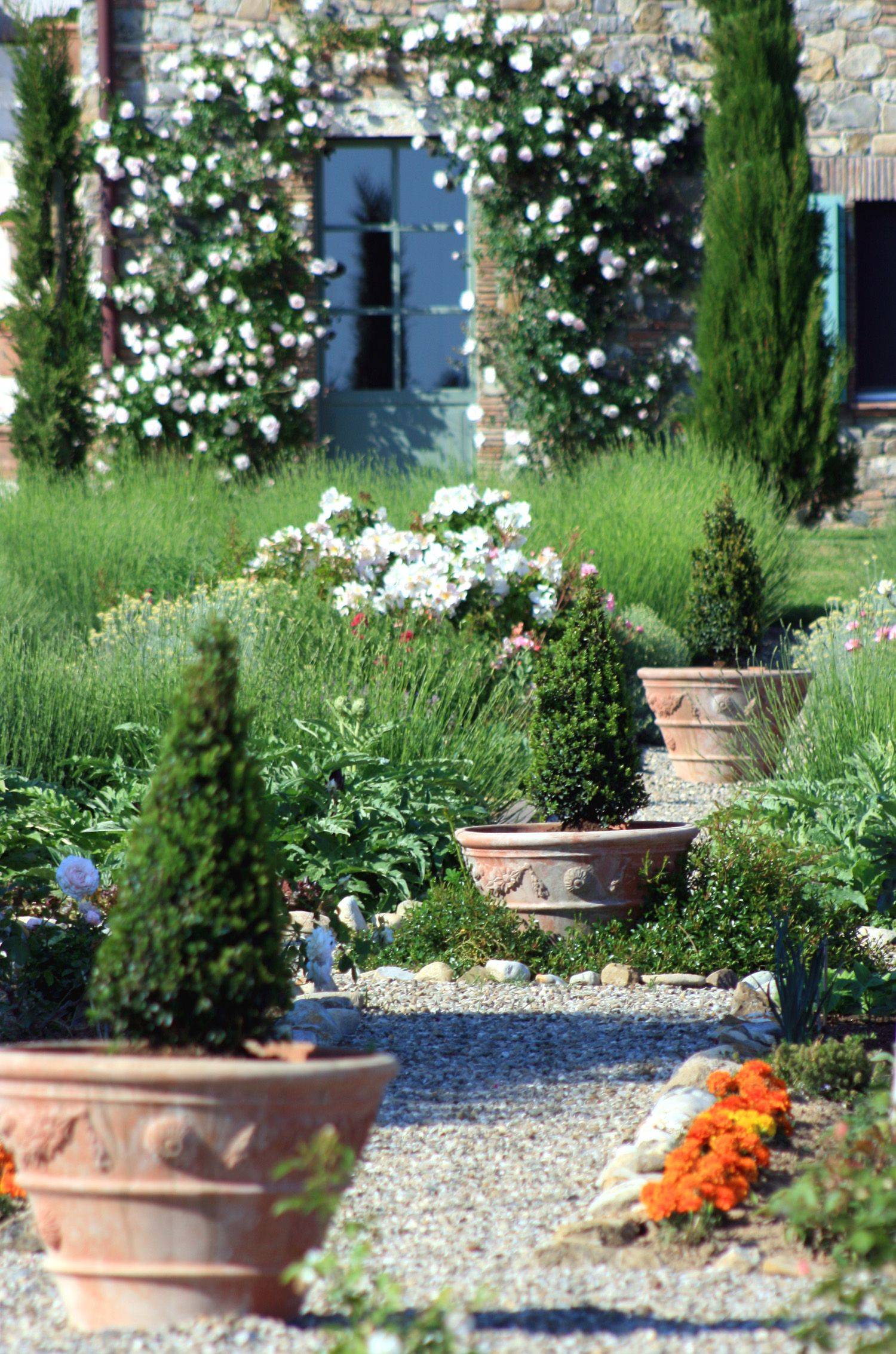 Hydrangea Landscaping Google Search Small Courtyard Gardens