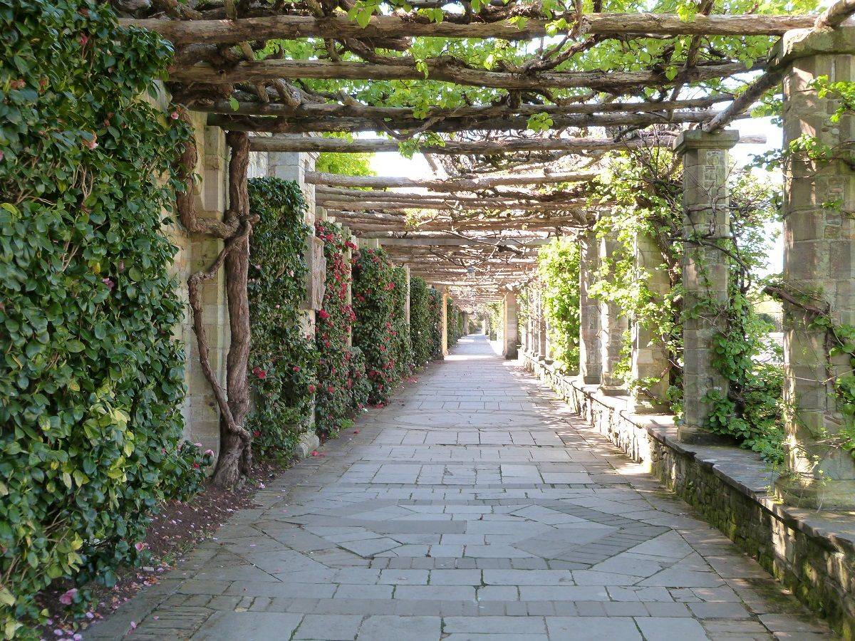 Small Courtyard