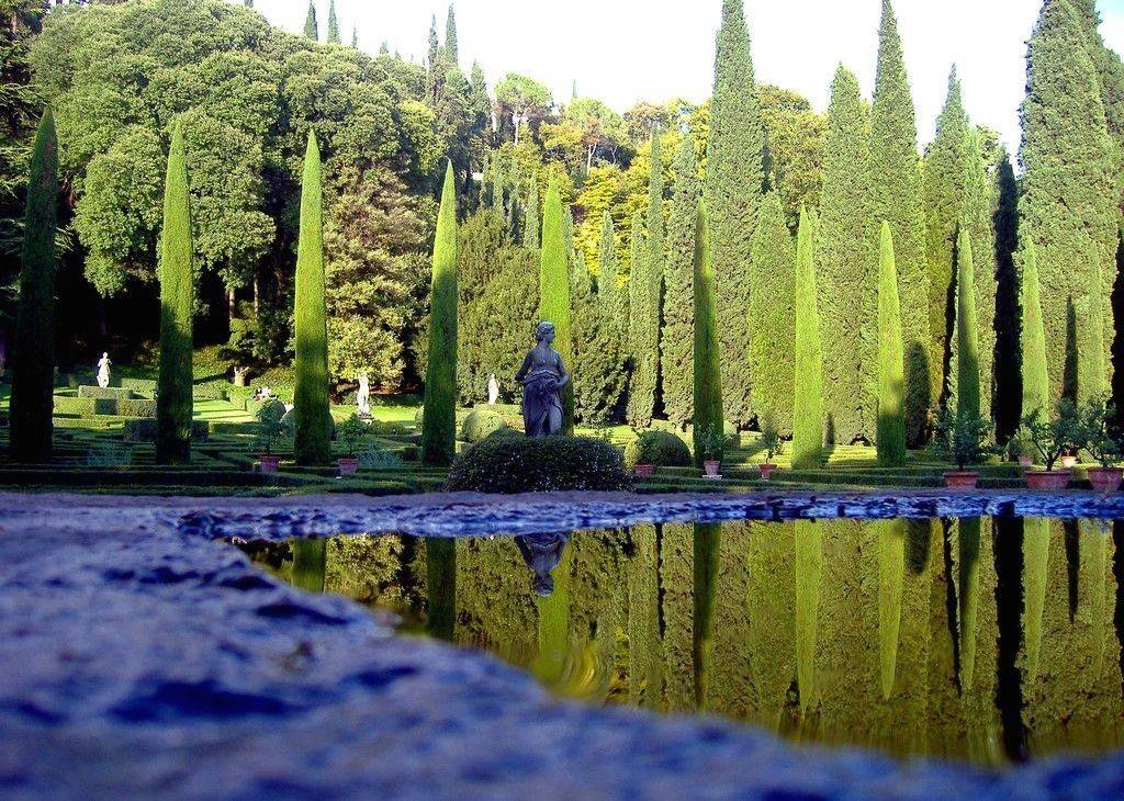 A Traveling Gardener