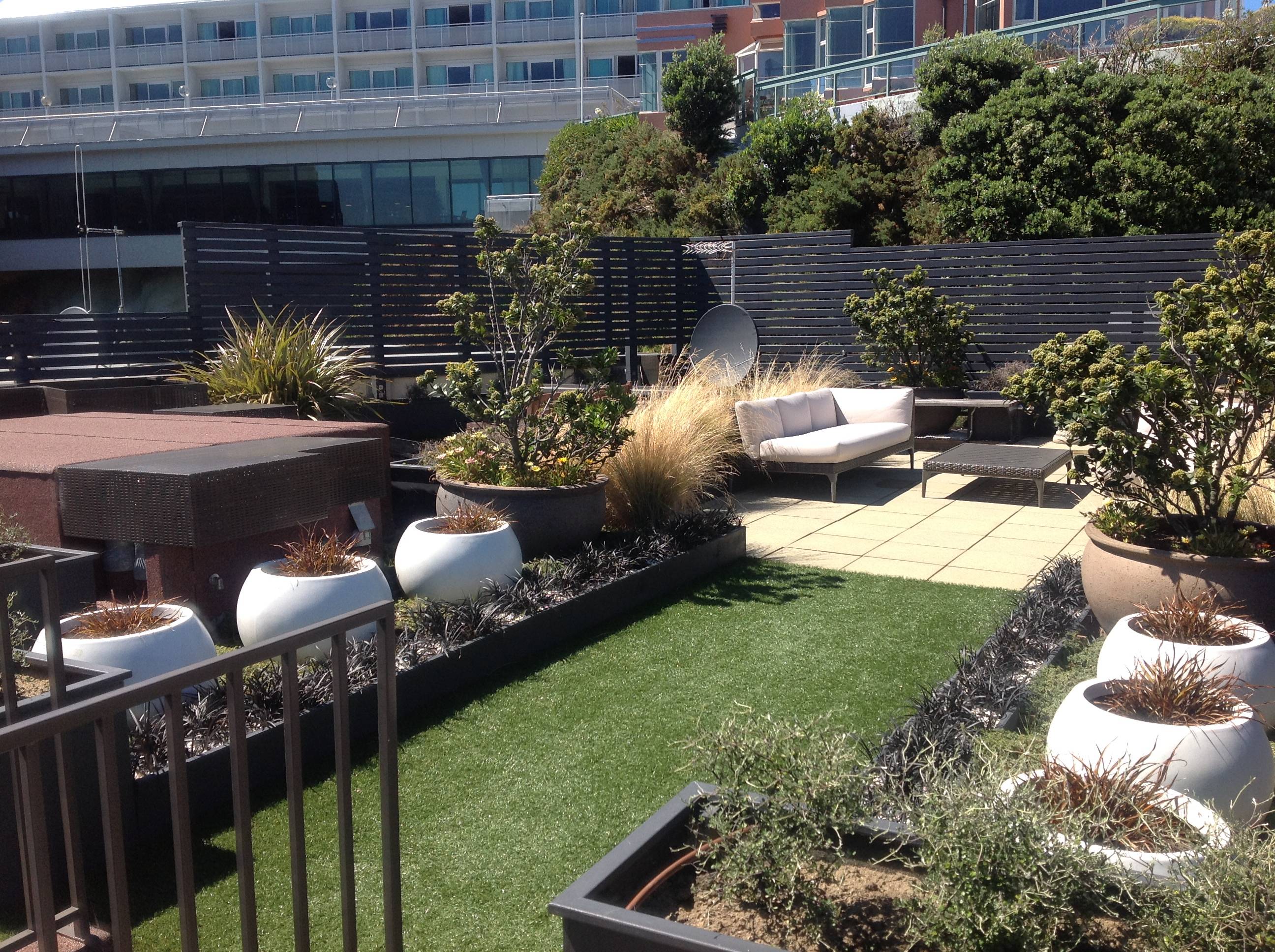 Courtyard Garden Ideas Privacy Screens Landscape Design Courtyard