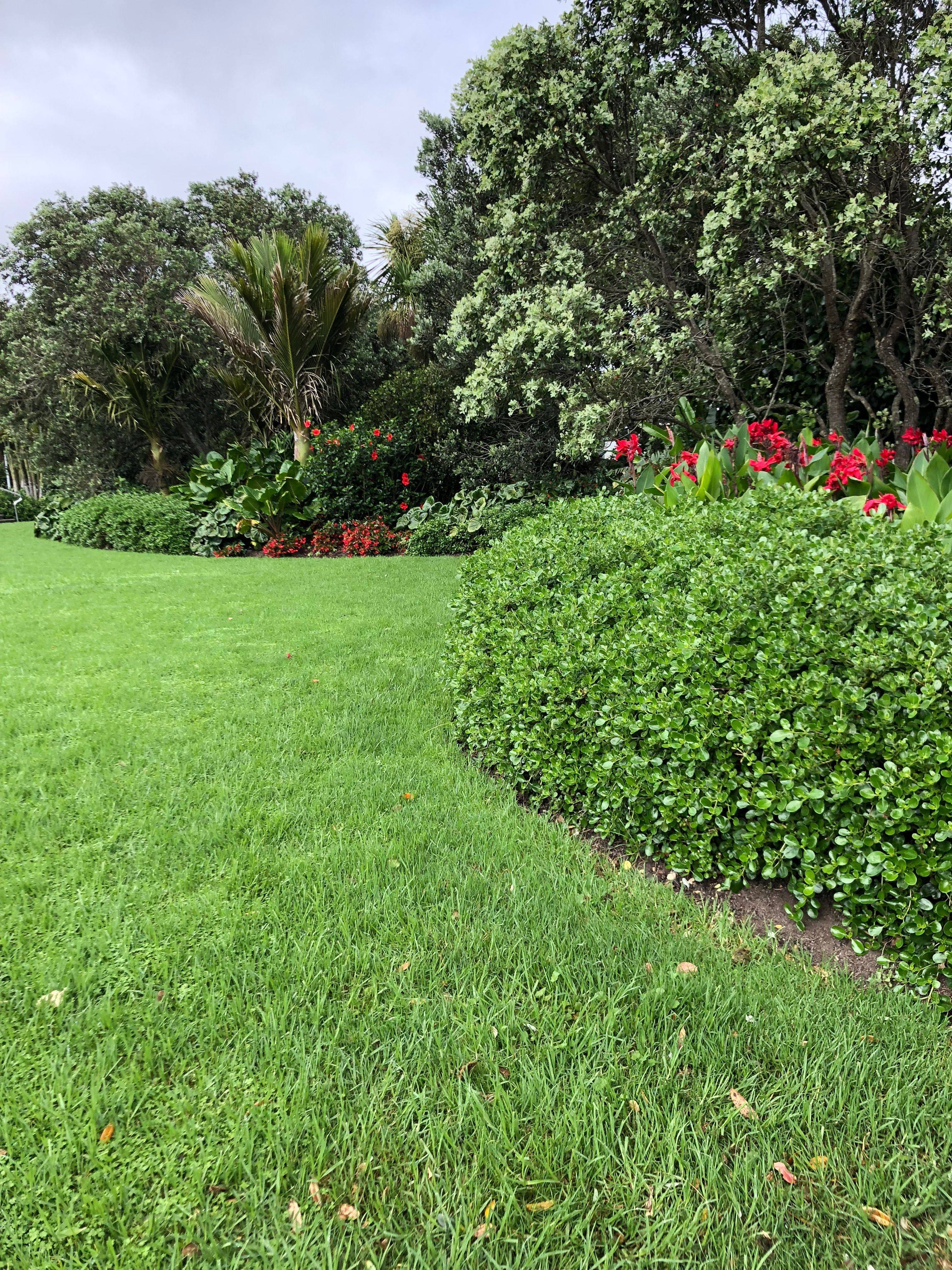 Auckland Botanic Gardens Hill Park Tips