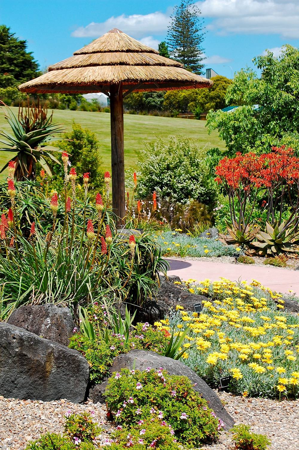 Auckland Botanic Gardens Urban Trees Garden Feb Urban Tree