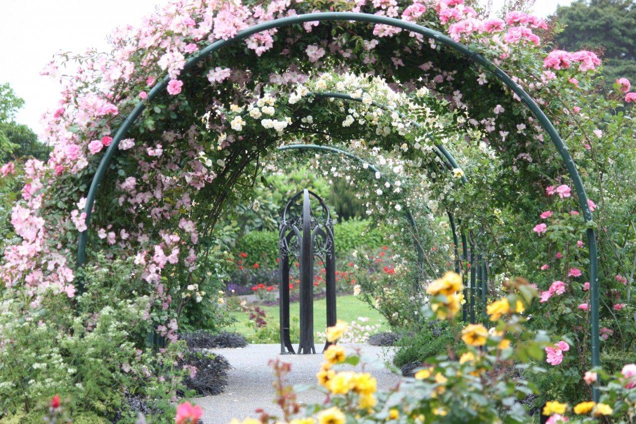 Auckland Domain Winter Garden