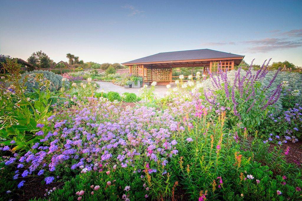 Auckland Botanic Garden Nz