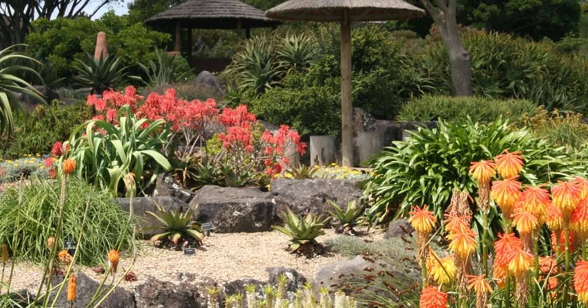 Auckland Botanic Gardens