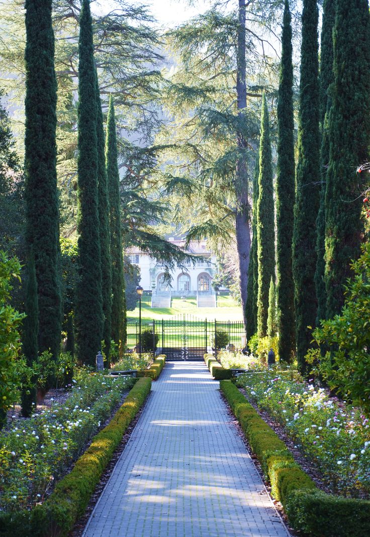 Italian Villa Mediterranean Garden Los Angeles