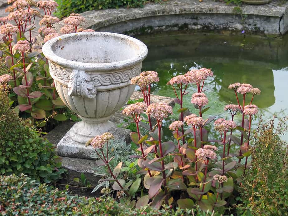The Best Mediterranean Landscape Lighting Ideas