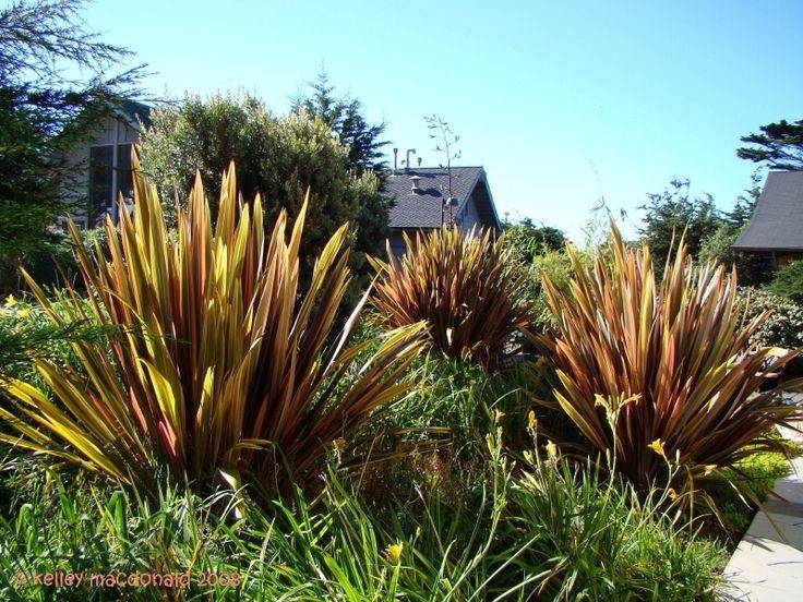 Korua E Kotahi Garden Sculpture
