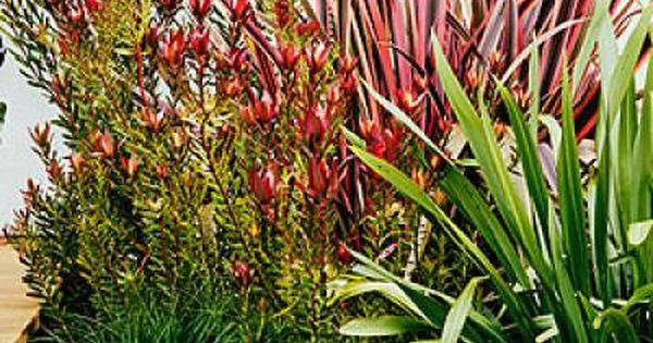 The Childrens Garden Maori Art