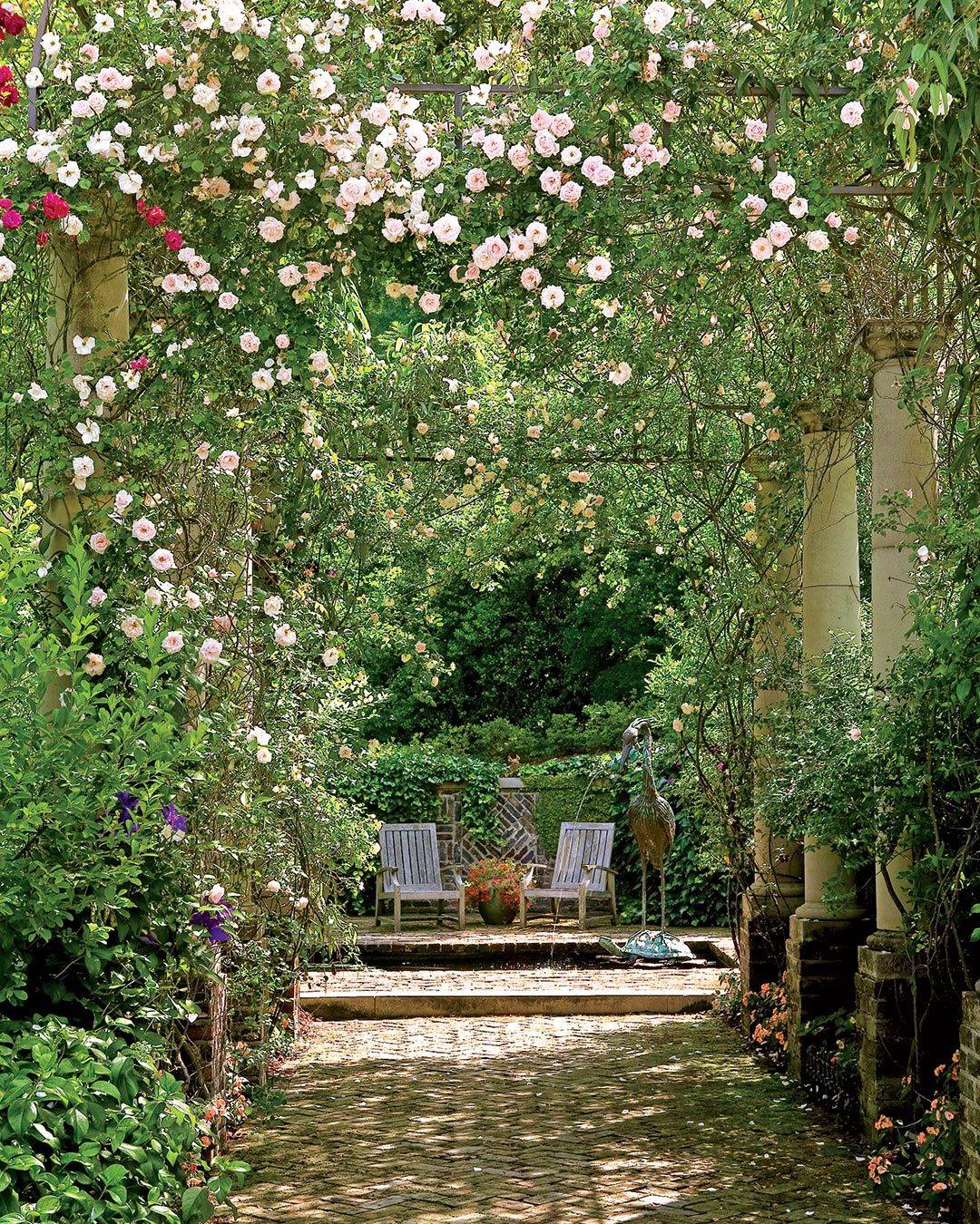 Garden Designs Odyssey Traveller