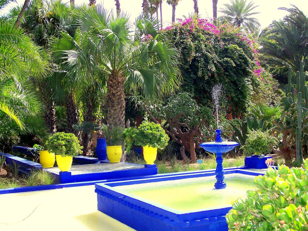 Amazing Garden Ideas