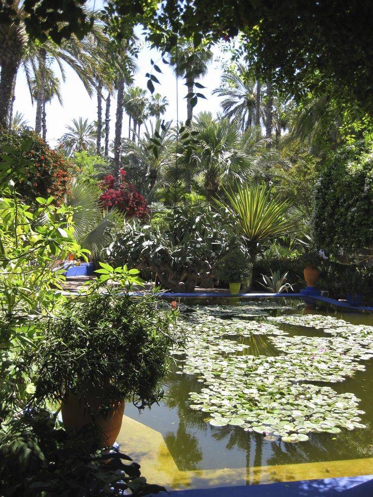 Landscaping Tips That Can Help You Out Moroccan Garden Patio Design