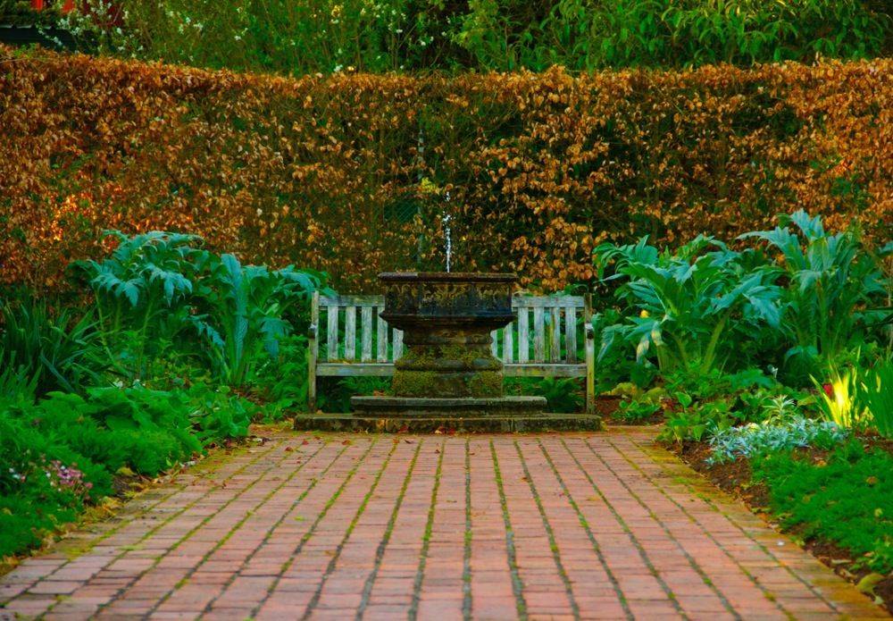 Free And Cheap Date Ideas