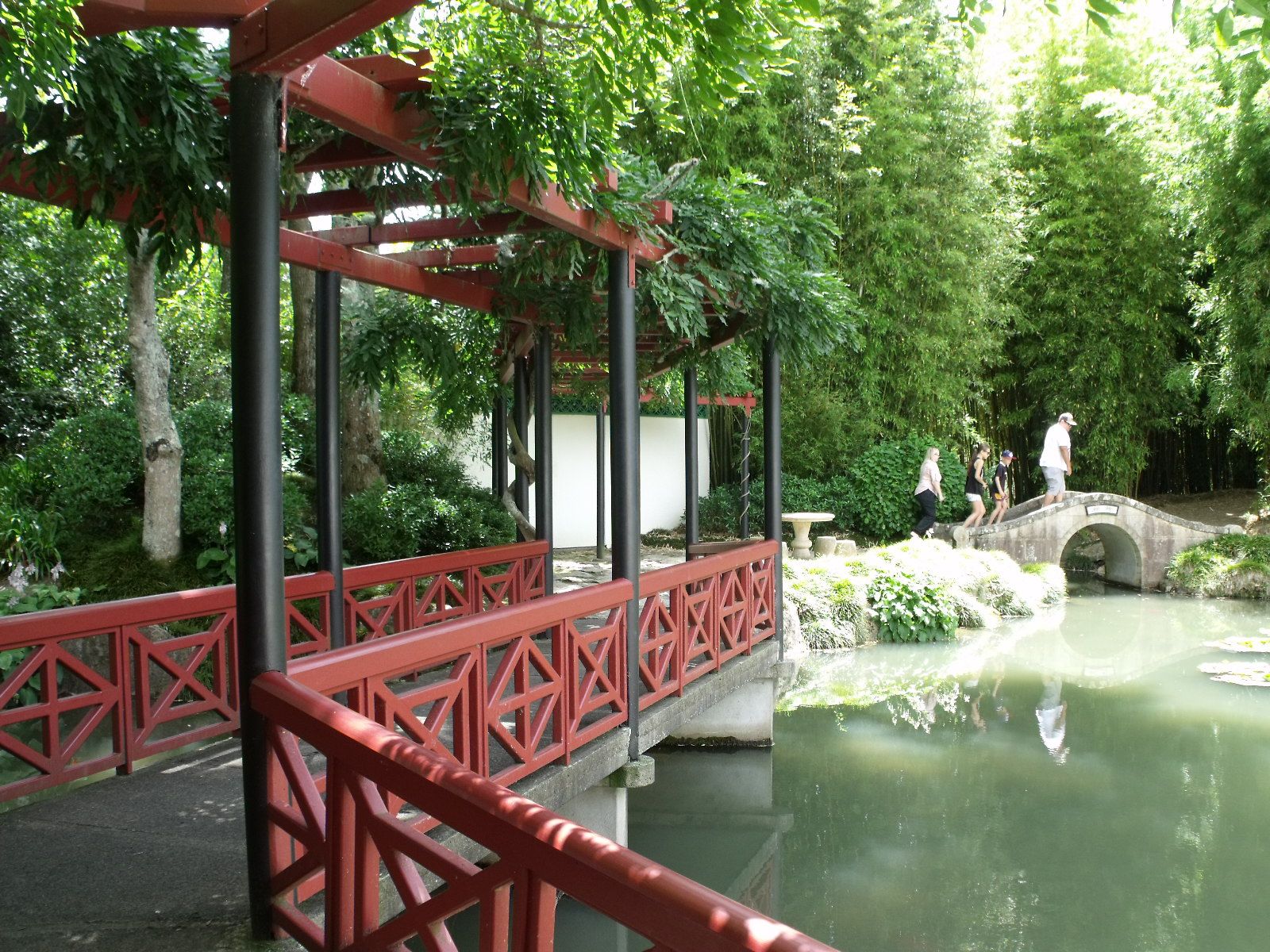 My First Impressions