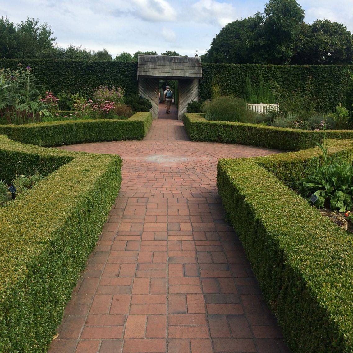 23 Herb Garden NZ Ideas You Must Look SharonSable