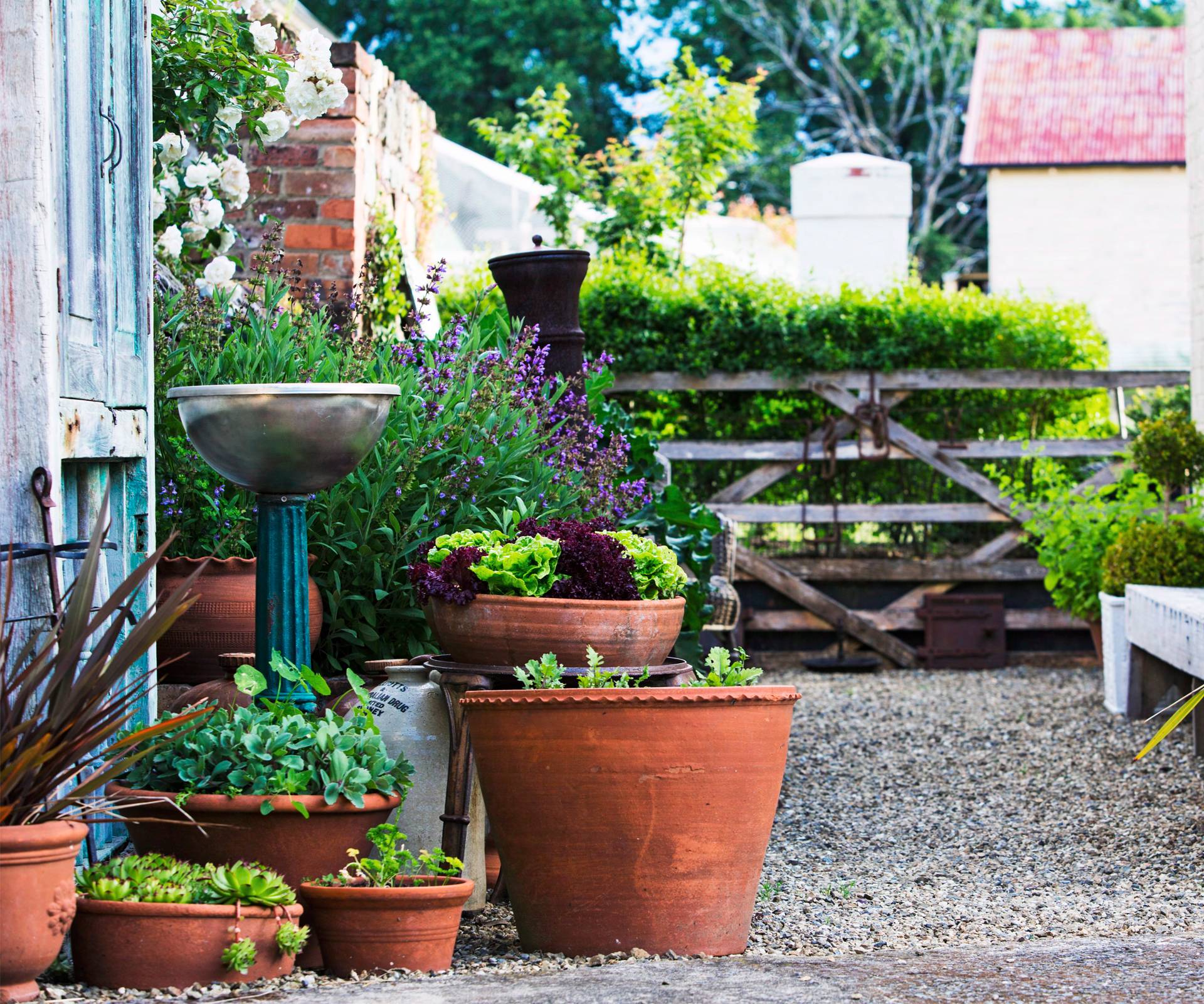Raised Herb Garden Raised Herb Garden
