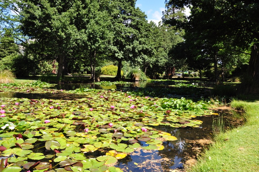 Jpg Wikimedia Commons