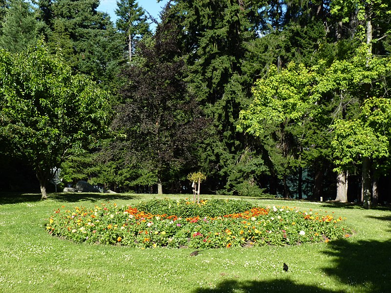Hill Garden Queenstown