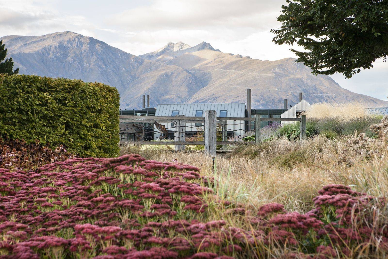 New Zealand Queenstown Gardens