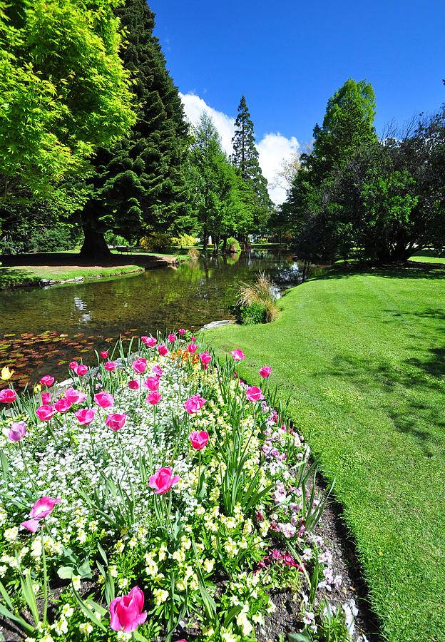 Queenstown Gardens New Zealand Photograph
