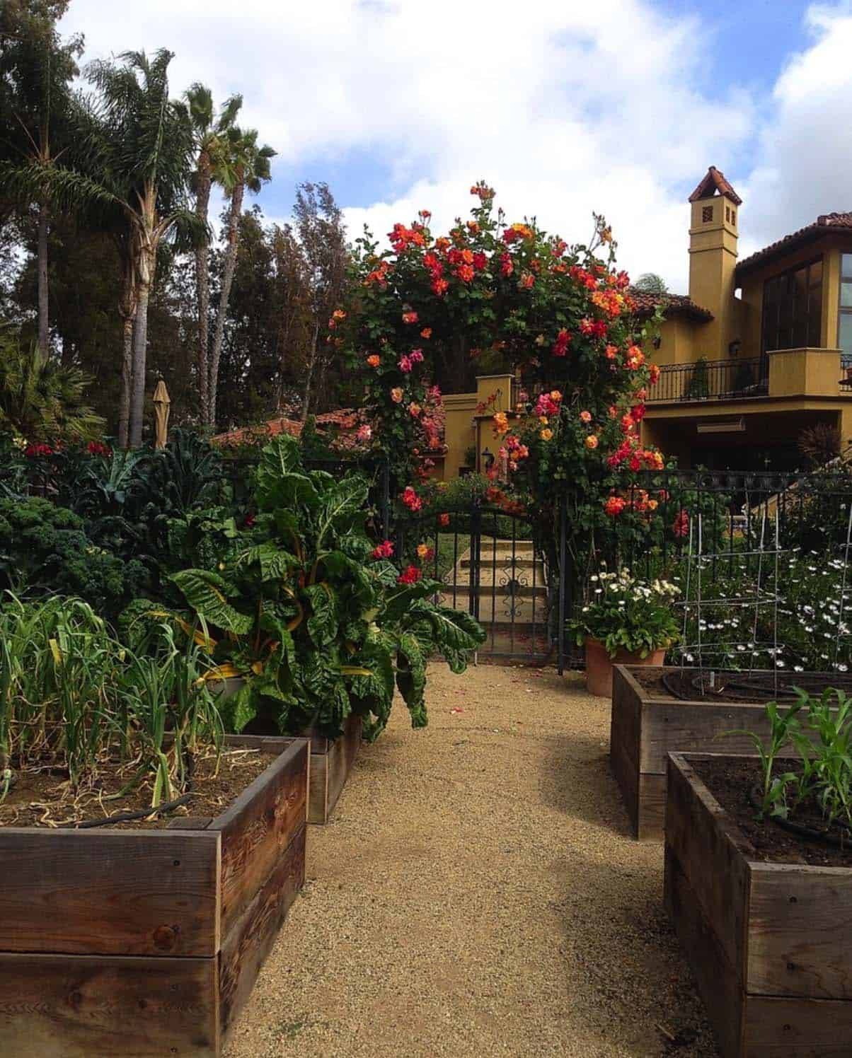 Terrace Spanish Style Patio Backyard Design Hardscaping Pond Concrete