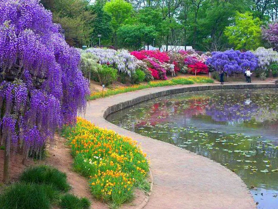 Download Landscaping Gazebo