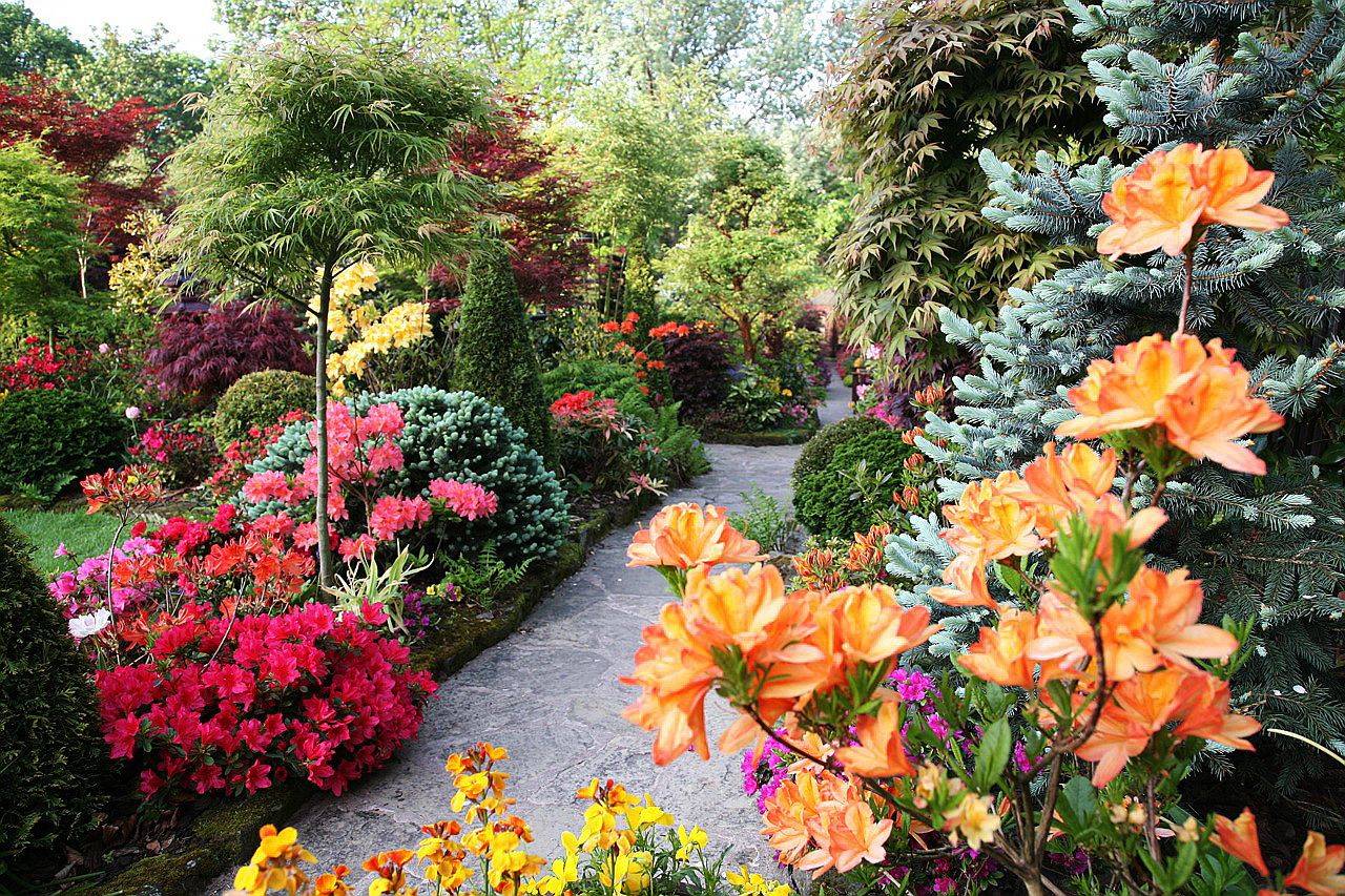 Impressive Flowers Garden Design Ideas