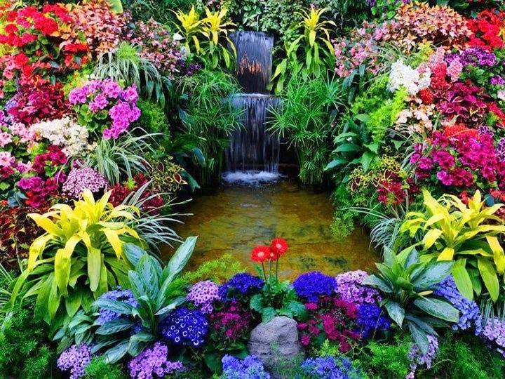 Impressive Flowers Garden Design Ideas