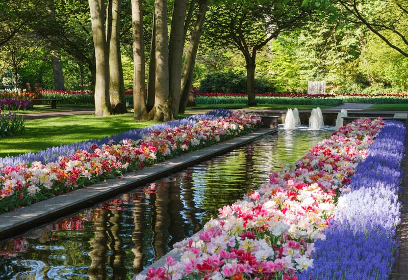 Beautiful Flower Garden Design Ideas Home