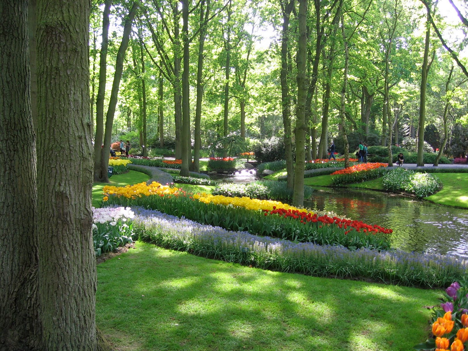 The Most Beautiful Home Gardens