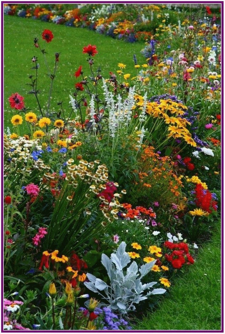 The Most Beautiful Home Gardens