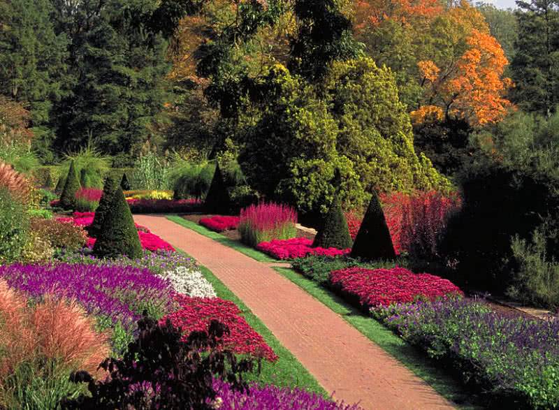 Top Most Beautiful Gardens