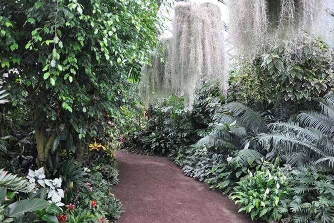 The Hamilton Botanical Gardens