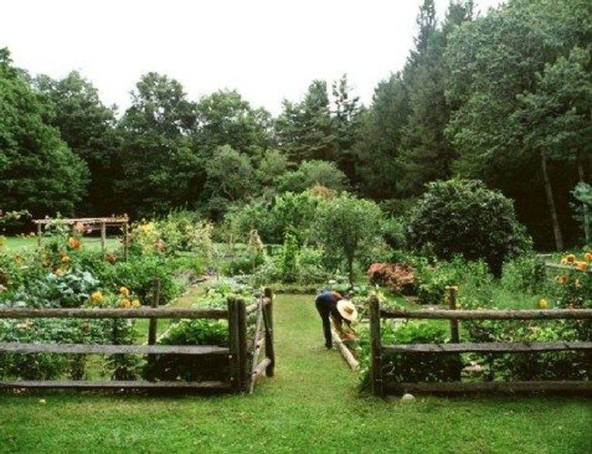 Modern Backyard Garden Ideas